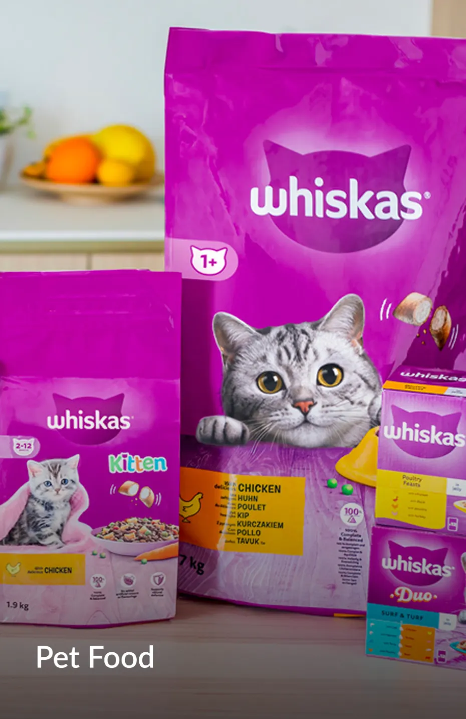 Cat food